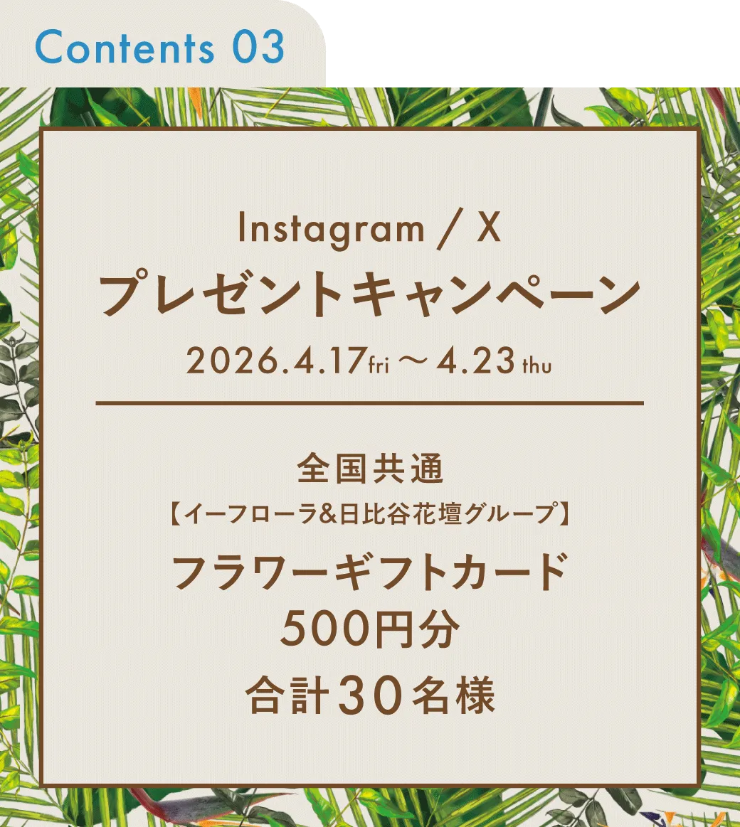 プレゼントキャンペーン