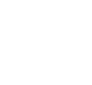 CAMPAIGN 03
