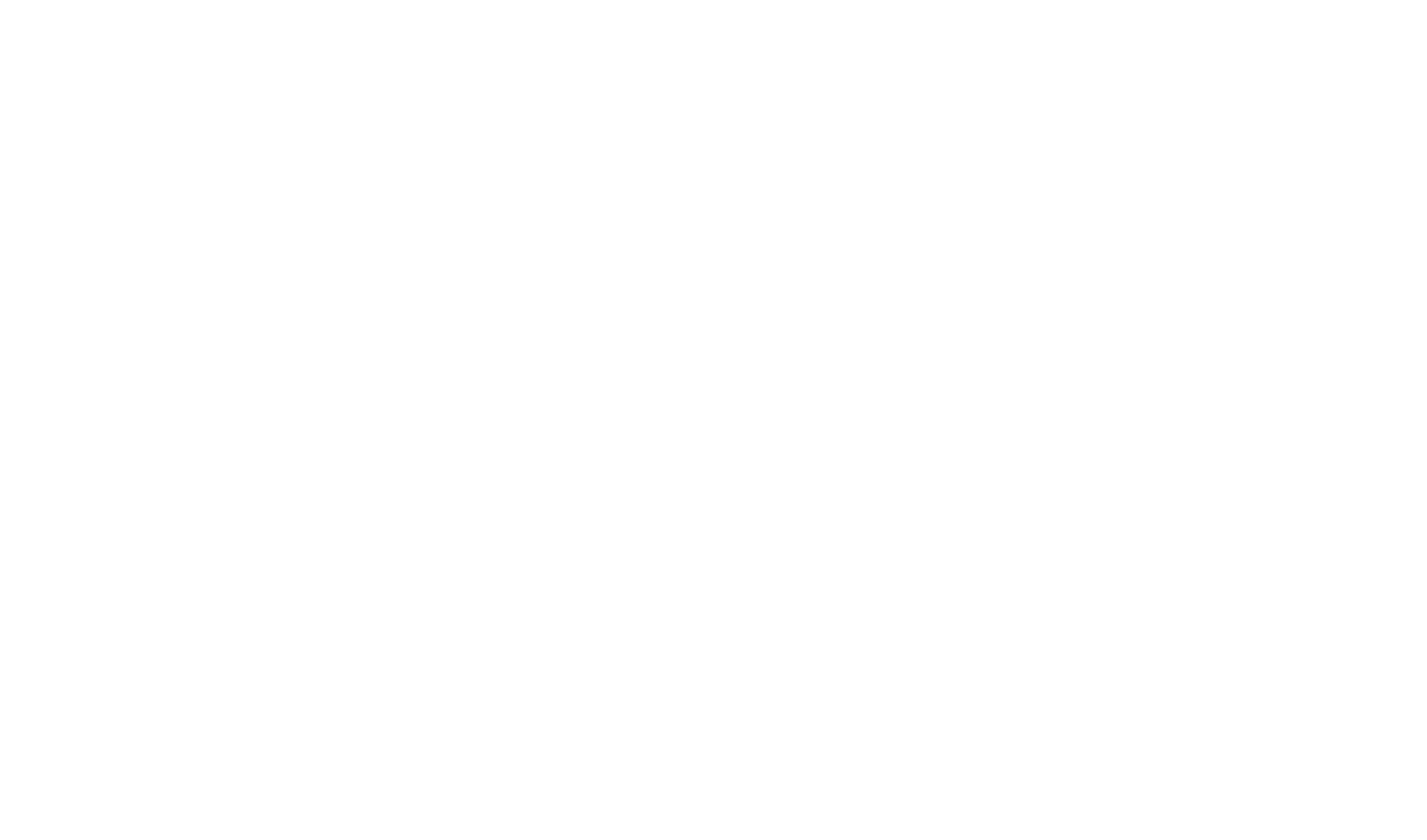 YECCA VECCA 15th Anniversary kv