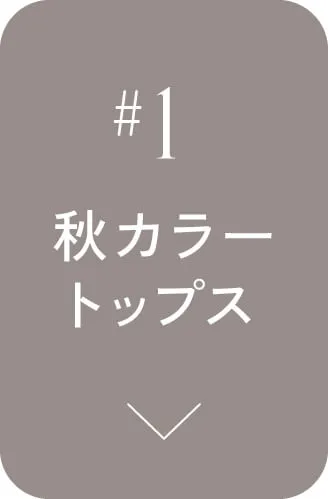 秋カラートップス