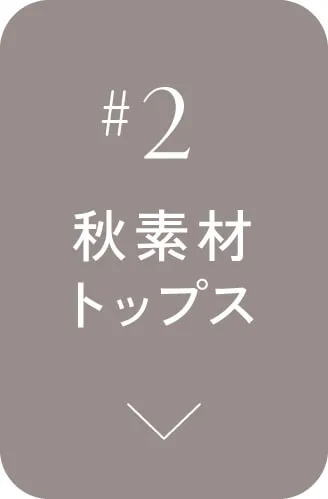 秋素材トップス