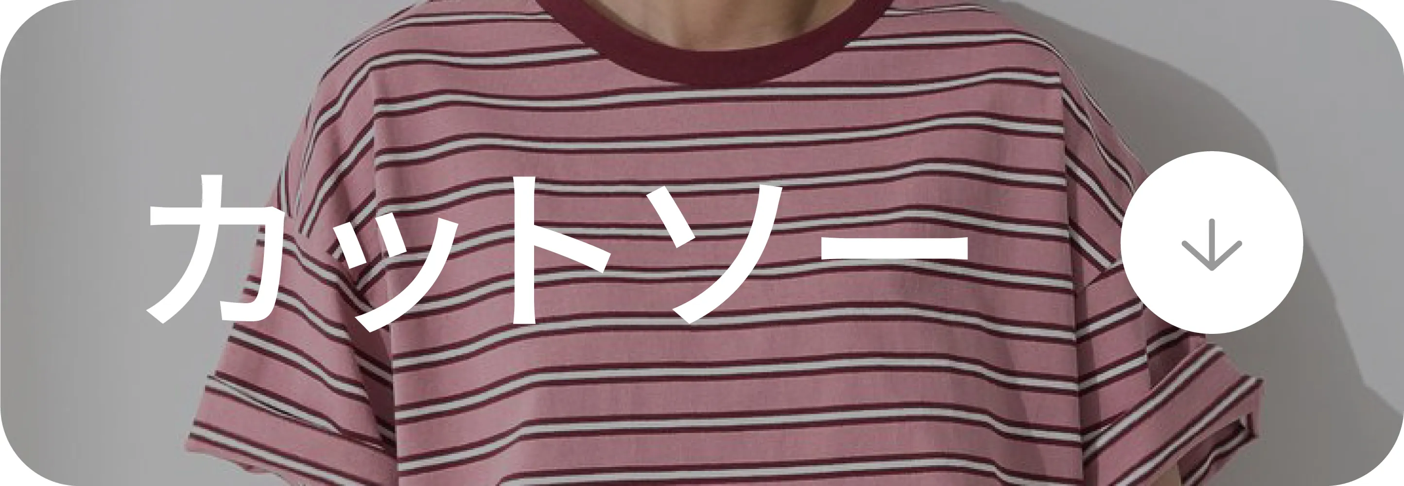 Under￥3,000｜カットソー